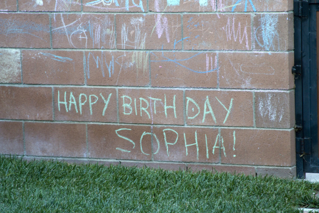 Happy Birthday Sophia!